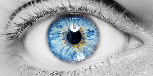 A.I.CON. – Associazione Iridologia&nbsp;Contemporanea